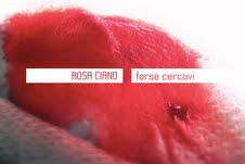 Rosa Ciano – Forse cercavi